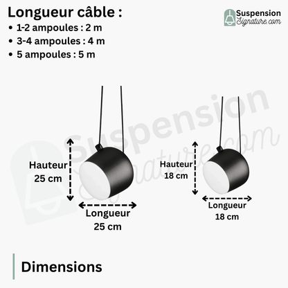 Suspension araignée métallique design industriel